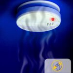 Smoke detectors Gosport Process